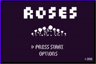 8 Bit Roses: A Nostalgic Display Font That Feels Familiar