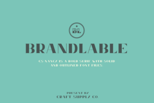Nancy: A Serif Font for Editorial Elegance